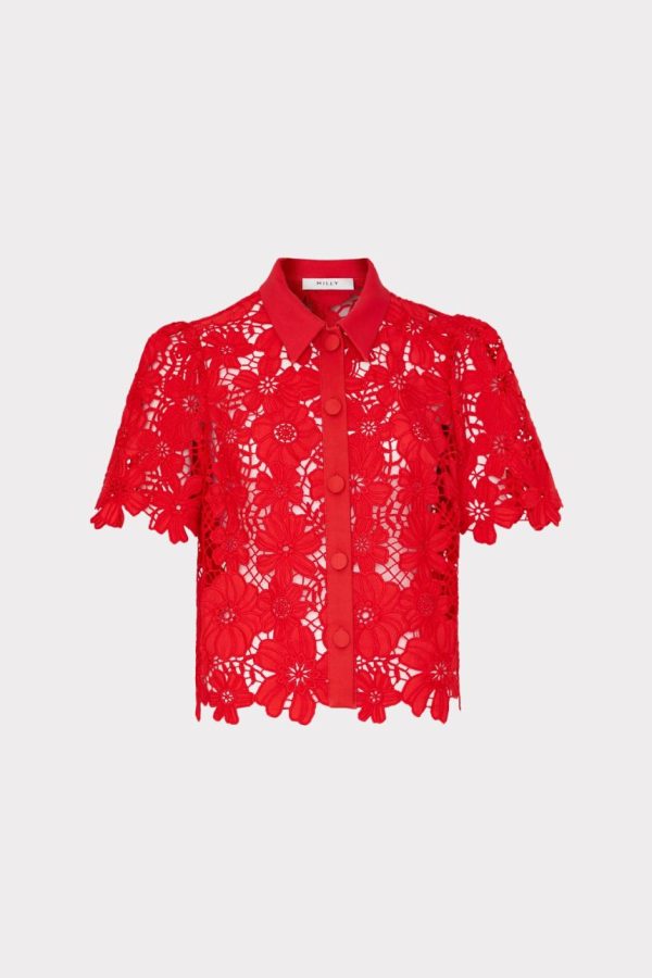 Yardandgrain.shopcc2b8baf33 1