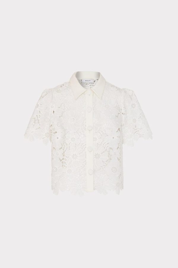 Yardandgrain.shopf830bb8b45 1